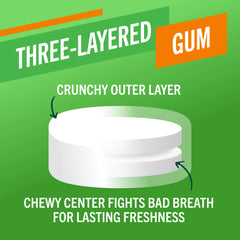 Fresh Breath Chewing Gum, Citrus Mint Flavor